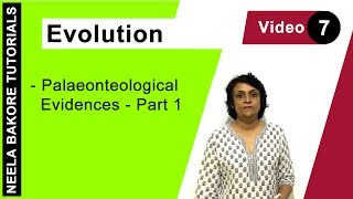 Evolution  NEET  Palaeonteological Evidences  Part 1  Neela Bakore Tutorials [upl. by Ahsekyw]