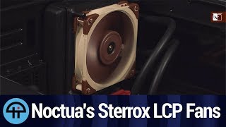 Noctuas Sterrox LiquidCrystal Polymer Fans [upl. by Redlac]