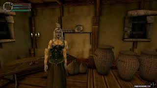 Morrowind  Mod Test 111 [upl. by Sherri]