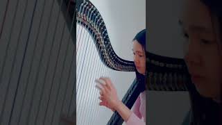 Weibird  Red Scarf harp cover teaser  韦礼安如果可以竖琴版 [upl. by Elysha]