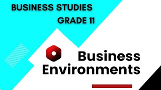 Influences And Challenges Of The Business Environments  Business Studies Grade 11 [upl. by Boyes]