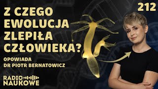 Wspólnota życia  ewolucja odsłania prawdę o pochodzeniu człowieka  dr Piotr Bernatowicz [upl. by Airyk753]