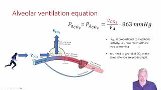 Module 02  Alveolar Ventilation Equation [upl. by Osborne817]