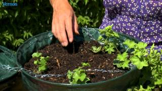 How to plant hanging baskets [upl. by Nonek408]