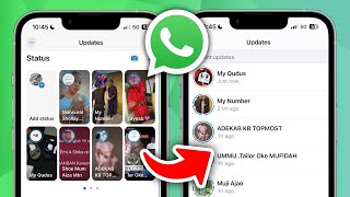 How to Change WhatsApp Status Layout 2024 [upl. by Barr]