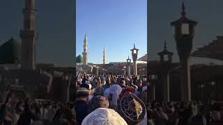 Qaseeda Burda Shareef in Madina Masjid E Nabvi  Ramzan Naat Status 2022  shorts [upl. by Sueaddaht]