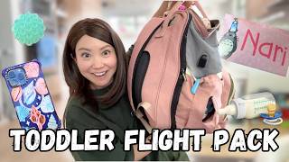 How I Pack for my Toddlers 15Hour Overseas Flight [upl. by Ijok]