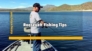 Roosevelt Fishing Tips [upl. by Erapsag78]