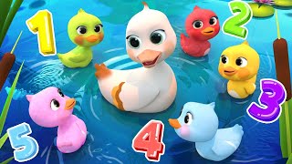 5 Little DucksLearn Colors Song  Lalafun Nursery Rhymes amp Kids Songs  cocomelon [upl. by Miyasawa]