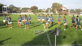 Toloas Sipi tau at Newington College [upl. by Ihana]