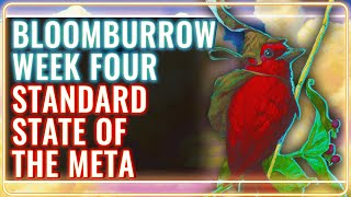 MTG Standard Decks Tier List for Bloomburrow Week 4  MTG Rebellion [upl. by Dearden712]