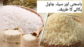 Difference between Basmati amp sela Basmati Rice by Faiza KitchenampVlogs [upl. by Ethelin497]