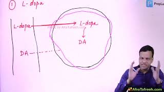 CNS2 Parkinsonism Grg pharmacology [upl. by Atnoled]