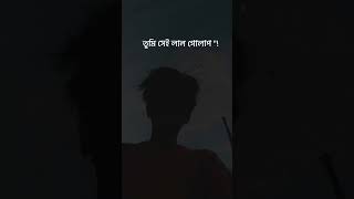 Srotoshini Lyrics Lofi 🖤🦋  ENCORE  Lyrics  স্রোতস্বিনী ✨ fypシ lyrics music hitsong [upl. by Lasyrc]