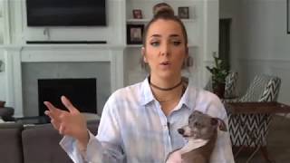 Jenna Marbles Plants Cermet Mr Marbles amp Paesh [upl. by Averat]