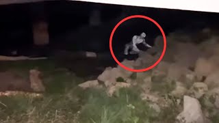 The Most Mysterious Creatures Caught On camera  Scary Comp V19 [upl. by Ailati]