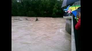 Isar in Freising  ganzer Baum treibt im Hochwasser 02062013 [upl. by Darnell]