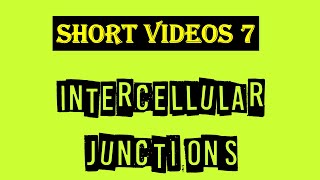 Intercellular junctions  Tight Junction  Gap junction  Desmosomes  Hemidesmosomes [upl. by Sweatt]