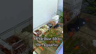 Como Fazer um Filtro pra Aquário e Lago filtro Aquário [upl. by Lowrance122]