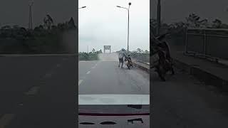 Bridge Collapses After Typhoon Yagi Hits Vietnam  10 News First [upl. by Yelkcub903]