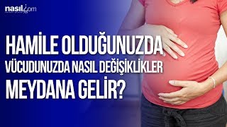 Hamile Olduğunuzda Vücudunuzda Nasıl Değişiklikler Meydana Gelir [upl. by Yaned]