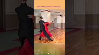 Tango Advanced Level 2 by MirkoampAlessia [upl. by Aloin805]