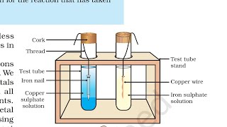 what happen when iron nail dipped in copper sulphate solutionClass10 ScienceChapter3 Activity 312 [upl. by Quickel]