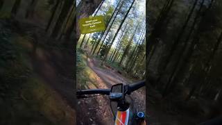 Flow trail at Cannock Chase [upl. by Allicirp]