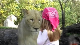 Girl Saved A Dying Lion From Trap And Years Later What The Lion Did Will Shock You [upl. by Engelhart456]