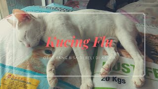 Obat Untuk Kucing Sakit Flu [upl. by Annoirb]