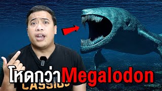 3 สัตว์ที่น่ากลัวมากกว่า Megalodon [upl. by Stoops]