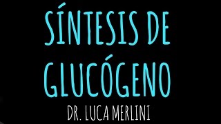 Síntesis de Glucógeno [upl. by Acimehs]