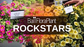 You need these 5 plants in your grower program  BFP Rockstars [upl. by Kcirednek733]