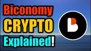 What is Biconomy  BICO Cryptocurrency Explained [upl. by Bywaters95]