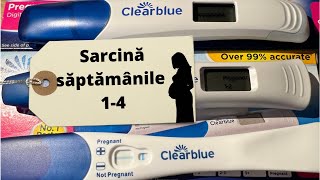 Jurnal de sarcina 14 saptamani  primul trimestru  simptome de sarcina  teste de sarcina [upl. by Llerred]