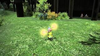 FFXIV Lalafell emote glitch [upl. by Elocan]