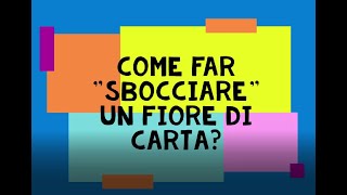 Come far sbocciare un fiore di carta [upl. by Perr871]