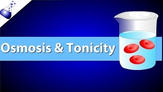 Osmosis and Tonicity [upl. by Zeculon230]