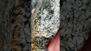 My Daily Rock 14 Mafic Metamorphic Treasures Poudre Canyon Colorado geology rockhounding [upl. by Laktasic]