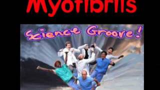 Myofibrils  Song by Science Grove [upl. by Ahsikel28]