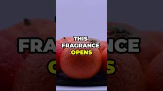 Why This 30 Perfume Smells Like 300 [upl. by Trask497]