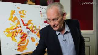 Chablis explained by JeanPierre Renard [upl. by Alleunam]