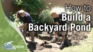 How To Build a Backyard Pond [upl. by Grubman]