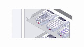 OrganonChip Studies Workflow 66 Set Up Protocol for PhysioMimix T1 from CN Bio [upl. by Ahsiema260]