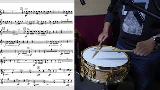 Shostakovich Symphony No10 Snare Drum ExcerptSonor Artist Scandinavian Birch [upl. by Rehpotsrik167]