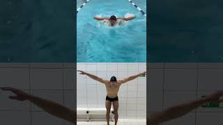 swimmer плавание olympicswimming athlete sports motivation shorts swimming swimmingpool [upl. by Aerehs144]