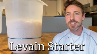 Levain Starter  Sourdough Leaven [upl. by Christye]