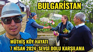 Bulgaristan Rengarenk Laleler ile Kaplı Köy Bahçesi  Kırcaali Ördekler Köyü 2024 [upl. by Tirrej]