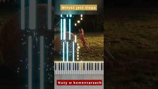 sanah  Miłość jest ślepa 🎹 Piano Tutorial 🔥 Nuty shorts [upl. by Kawasaki]