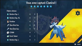 Pokémon écarlateviolet  méthode pour battre Clamiral dHisui en solo raid 7 étoiles [upl. by Aivax]